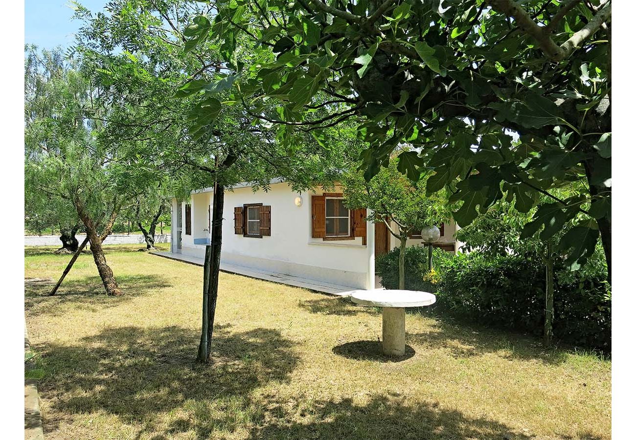 Villa a Fondi - MELLY