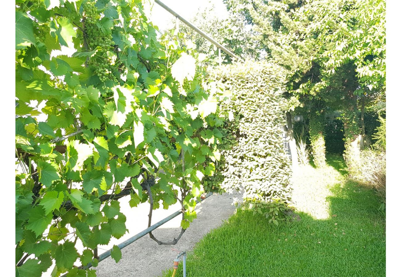 Apartment in Fondi - BRUNY