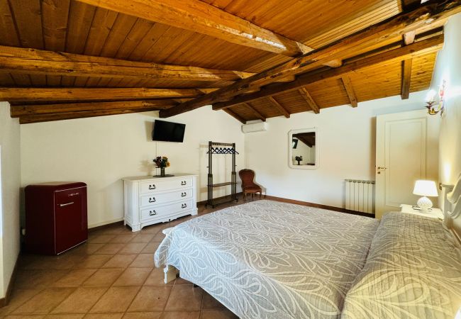 Rent by room in Fondi - 37 - Casa Pepe - AURORA