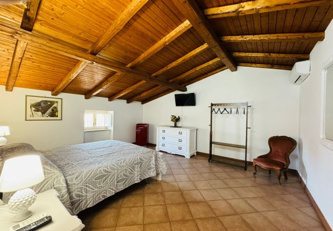 Chambres d'hôtes à Fondi - 37 - Casa Pepe - AURORA Chambres d'hôtes à Fondi - 37 - Casa Pepe - AURORA